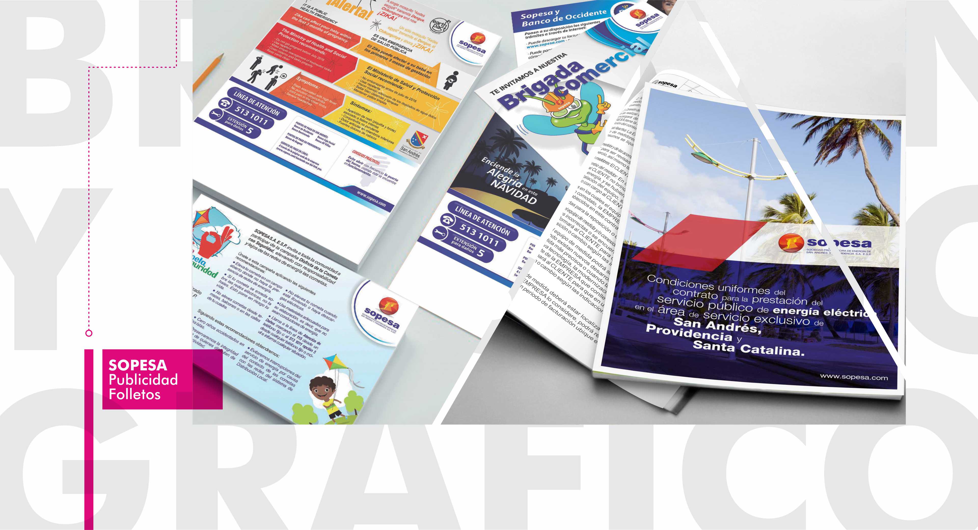 Branding y Diseño Gráfico 01